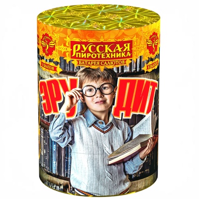 Эрудит Салют купить в Бодайбо | bodajbo.salutsklad.ru