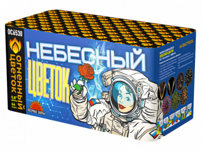 Небесный цветок Салют купить в Бодайбо | bodajbo.salutsklad.ru