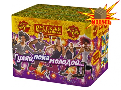 Гуляй, пока молодой... Фейерверк купить в Бодайбо | bodajbo.salutsklad.ru
