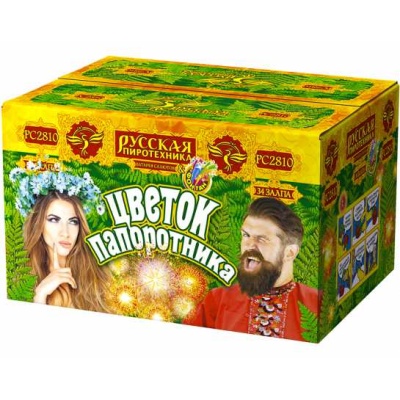 Цветок папоротника Фонтан фейерверк купить в Бодайбо | bodajbo.salutsklad.ru