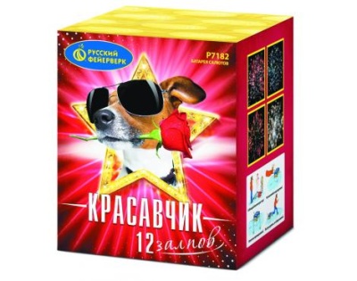 Красавчик Салют купить в Бодайбо | bodajbo.salutsklad.ru